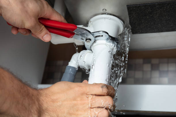 Best Professional water damage repair  in Waianae, HI