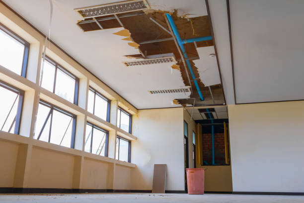 Best Water damage restoration near me  in Waianae, HI