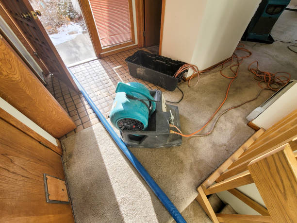 Best 24-hour water damage restoration  in Waianae, HI