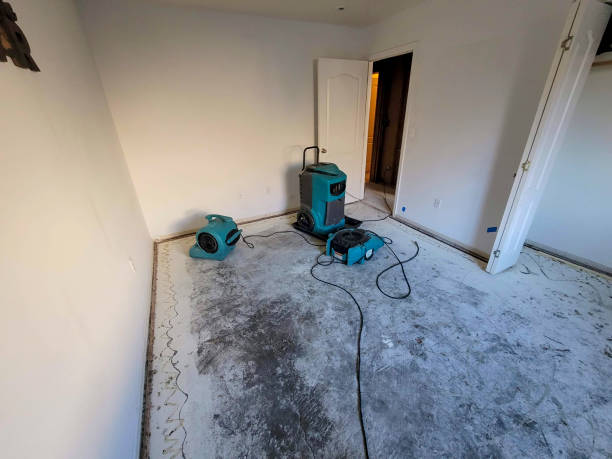 Best Water damage restoration services  in Waianae, HI