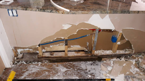 Best Ceiling water damage repair  in Waianae, HI
