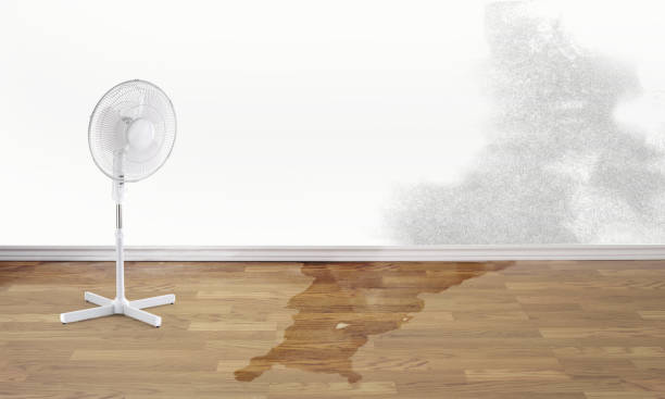 Best Residential water damage restoration  in Waianae, HI