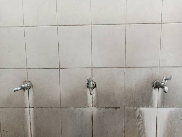 Best Carpet water damage restoration  in Waianae, HI