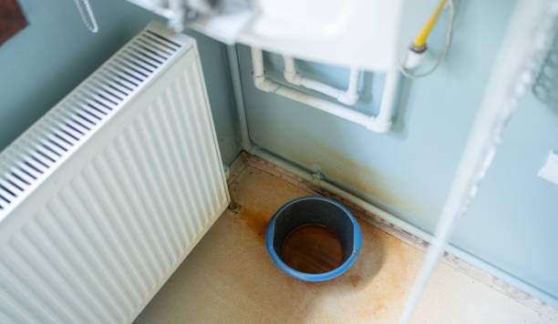 Best Basement water damage restoration  in Waianae, HI