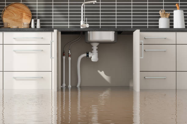 Best Basement water damage restoration  in Waianae, HI