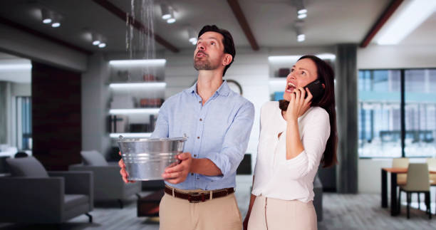 Best Carpet water damage restoration  in Waianae, HI