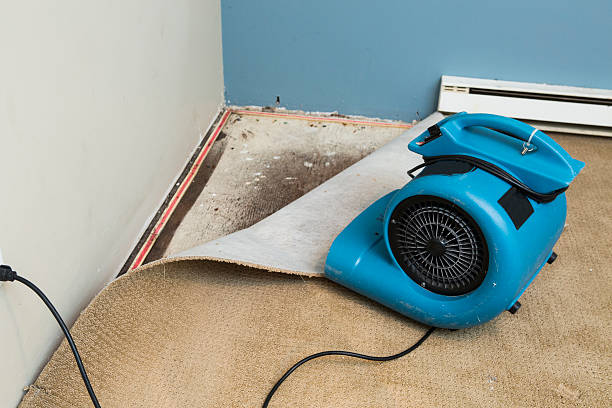Best Water damage restoration near me  in Waianae, HI